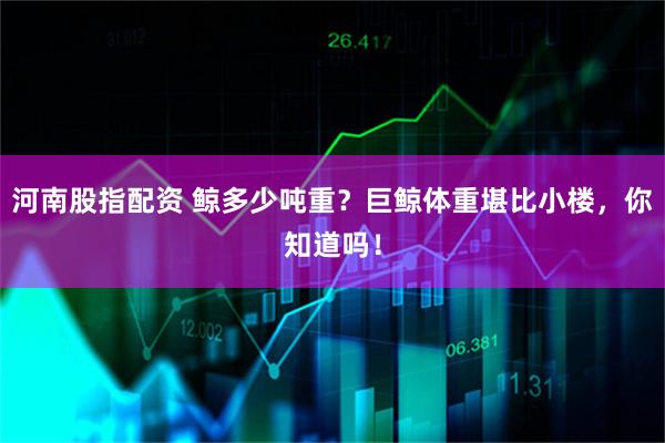 河南股指配资 鲸多少吨重？巨鲸体重堪比小楼，你知道吗！